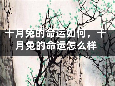 十月兔的命运如何,十月兔的命运怎么样