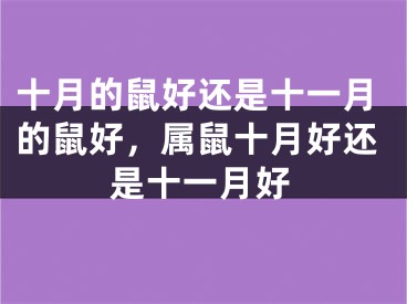 十月的鼠好还是十一月的鼠好,属鼠十月好还是十一月好