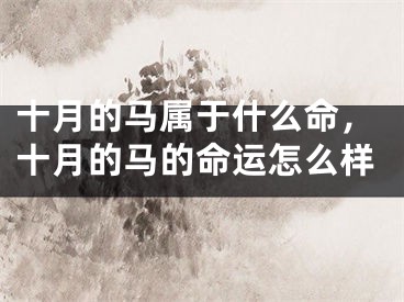 十月的马属于什么命,十月的马的命运怎么样
