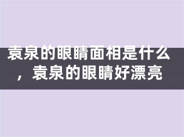 袁泉的眼睛面相是什么,袁泉的眼睛好漂亮