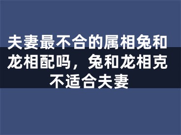 夫妻最不合的属相兔和龙相配吗,兔和龙相克不适合夫妻