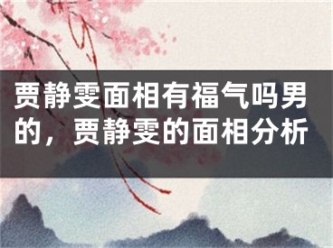 贾静雯面相有福气吗男的，贾静雯的面相分析