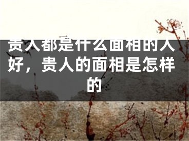 贵人都是什么面相的人好，贵人的面相是怎样的