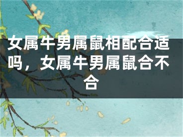 女属牛男属鼠相配合适吗，女属牛男属鼠合不合