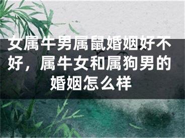 女属牛男属鼠婚姻好不好，属牛女和属狗男的婚姻怎么样