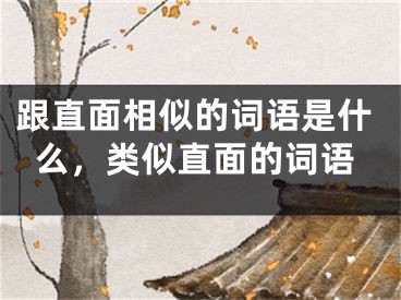 跟直面相似的词语是什么，类似直面的词语