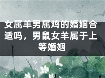 女属羊男属鸡的婚姻合适吗，男鼠女羊属于上等婚姻