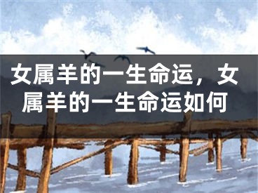 女属羊的一生命运，女属羊的一生命运如何