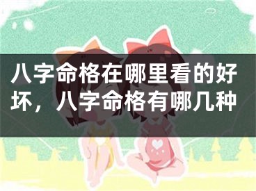 八字命格在哪里看的好坏，八字命格有哪几种