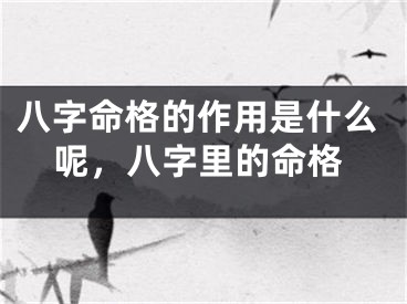 八字命格的作用是什么呢，八字里的命格