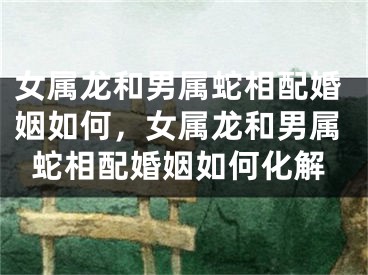 女属龙和男属蛇相配婚姻如何，女属龙和男属蛇相配婚姻如何化解