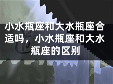 小水瓶座和大水瓶座合适吗，小水瓶座和大水瓶座的区别