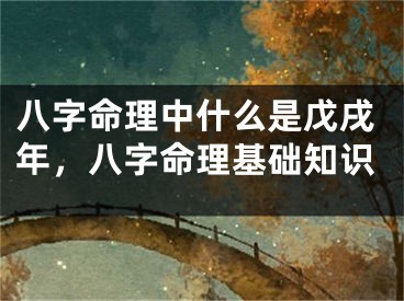 八字命理中什么是戊戌年,八字命理基础知识