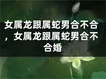 女属龙跟属蛇男合不合，女属龙跟属蛇男合不合婚