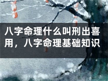 八字命理什么叫刑出喜用,八字命理基础知识
