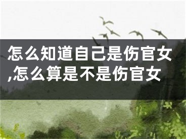 怎么知道自己是伤官女,怎么算是不是伤官女