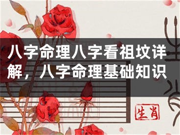 八字命理八字看祖坟详解,八字命理基础知识