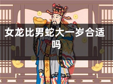 女龙比男蛇大一岁合适吗