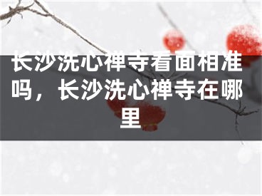 长沙洗心禅寺看面相准吗，长沙洗心禅寺在哪里