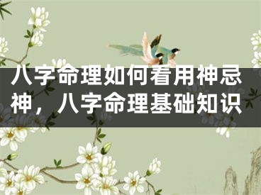 八字命理如何看用神忌神，八字命理基础知识