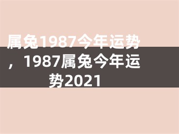 属兔1987今年运势，1987属兔今年运势2021