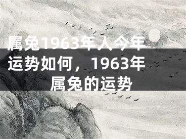 属兔1963年人今年运势如何，1963年属兔的运势