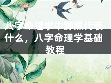 八字命理学中脚踝代表什么，八字命理学基础教程