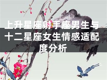 上升星座射手座男生与十二星座女生情感适配度分析