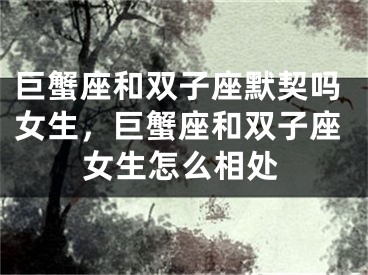 巨蟹座和双子座默契吗女生，巨蟹座和双子座女生怎么相处