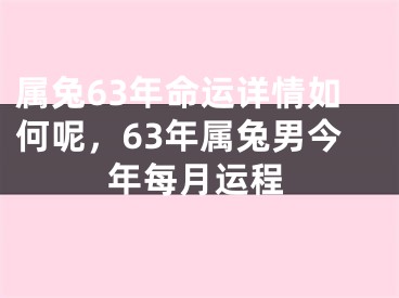 属兔63年命运详情如何呢，63年属兔男今年每月运程