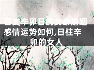 日支辛卯日的女命婚姻感情运势如何,日柱辛卯的女人