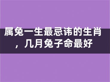 属兔一生最忌讳的生肖,几月兔子命最好