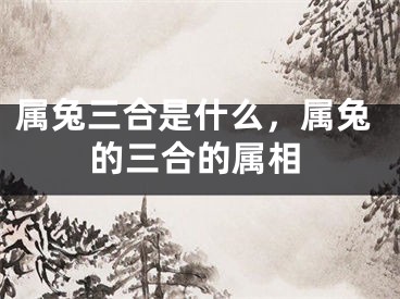属兔三合是什么，属兔的三合的属相