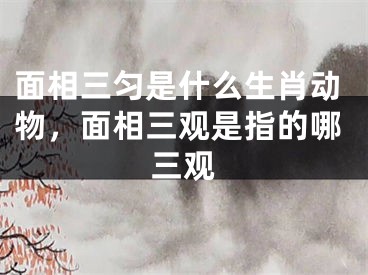 面相三匀是什么生肖动物，面相三观是指的哪三观