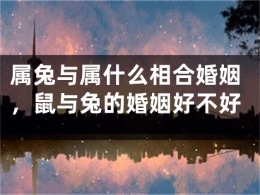 属兔与属什么相合婚姻，鼠与兔的婚姻好不好