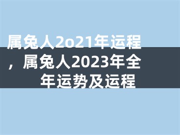 属兔人2o21年运程，属兔人2023年全年运势及运程