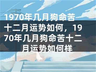 1970年几月狗命苦十二月运势如何，1970年几月狗命苦十二月运势如何样