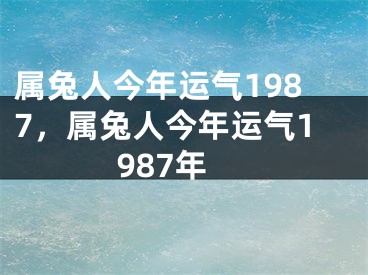 属兔人今年运气1987，属兔人今年运气1987年
