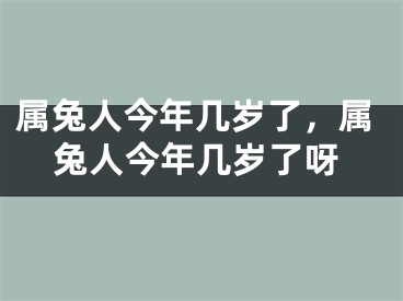 属兔人今年几岁了，属兔人今年几岁了呀