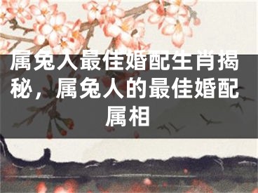 属兔人最佳婚配生肖揭秘,属兔人的最佳婚配属相
