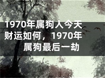 1970年属狗人今天财运如何，1970年属狗最后一劫
