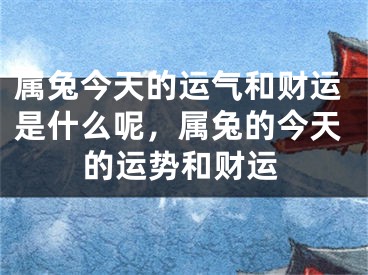 属兔今天的运气和财运是什么呢，属兔的今天的运势和财运