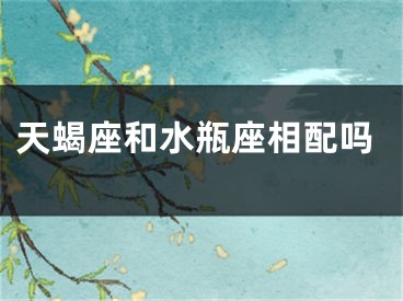 天蝎座和水瓶座相配吗