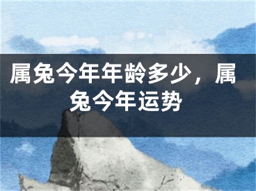 属兔今年年龄多少，属兔今年运势