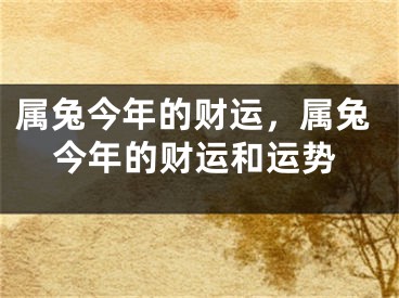 属兔今年的财运，属兔今年的财运和运势