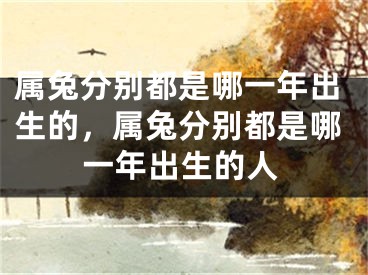 属兔分别都是哪一年出生的，属兔分别都是哪一年出生的人