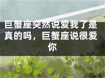 巨蟹座突然说爱我了是真的吗,巨蟹座说很爱你