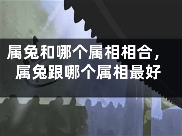 属兔和哪个属相相合，属兔跟哪个属相最好