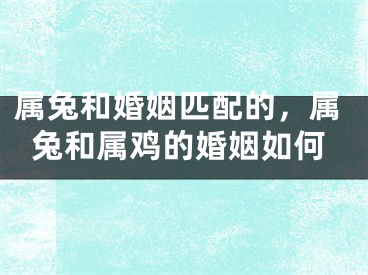 属兔和婚姻匹配的，属兔和属鸡的婚姻如何