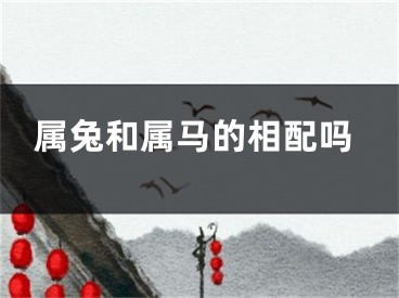 属兔和属马的相配吗
